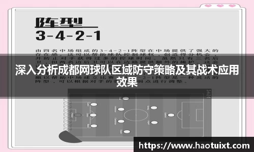 深入分析成都网球队区域防守策略及其战术应用效果